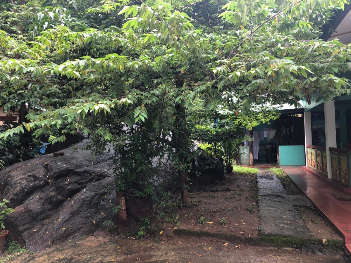 Sigiri Lion Lodge Sigiriya Exterior foto